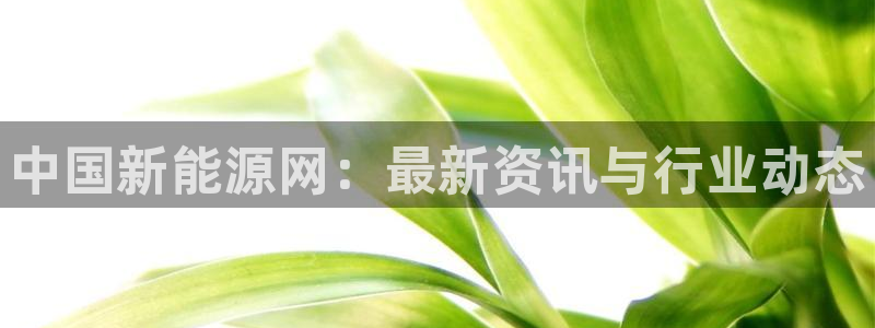 新宝gg维护：中国新能源网：最新资讯与行