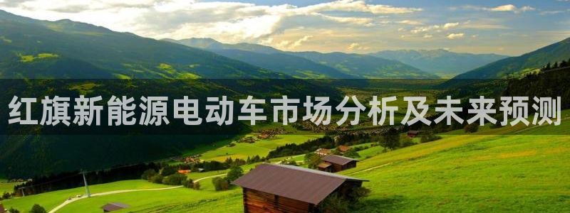 新宝gg游戏：红旗新能源电动车市场分析及
