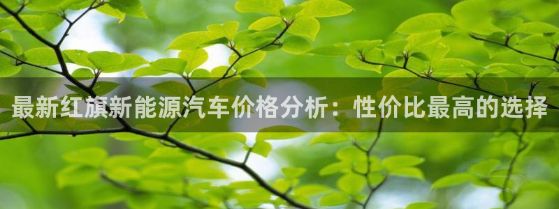新宝皇冠gg：最新红旗新能源汽车价格分析