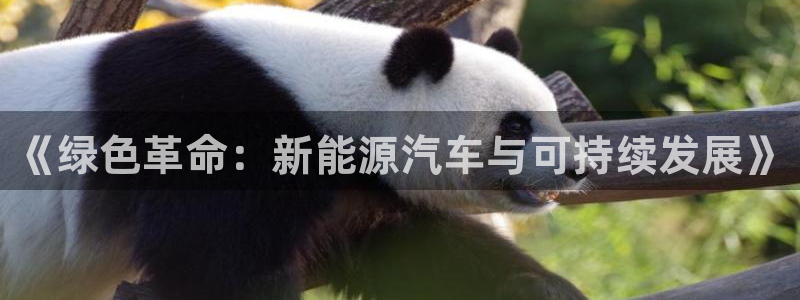 新宝gg创造奇迹