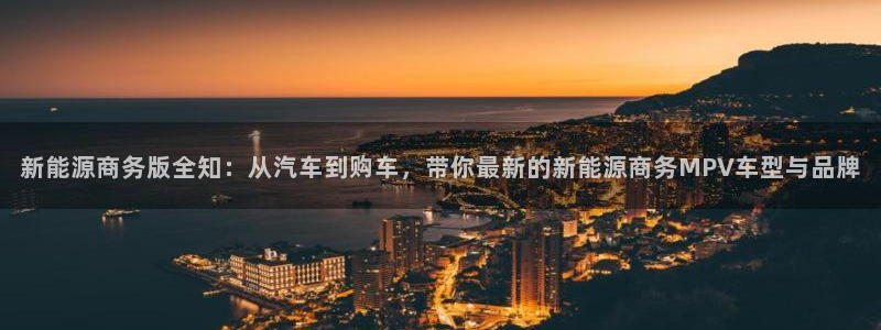 新宝GG类别78778：新能源商务版全知