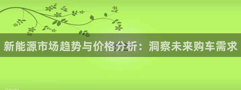 新宝皇冠gg：新能源市场趋势与价格分析：